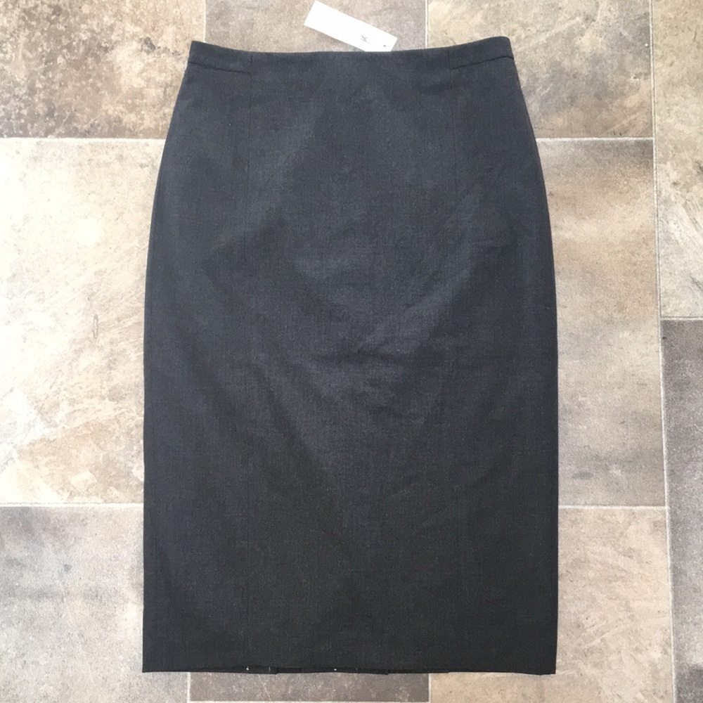 Ann Taylor Skirt